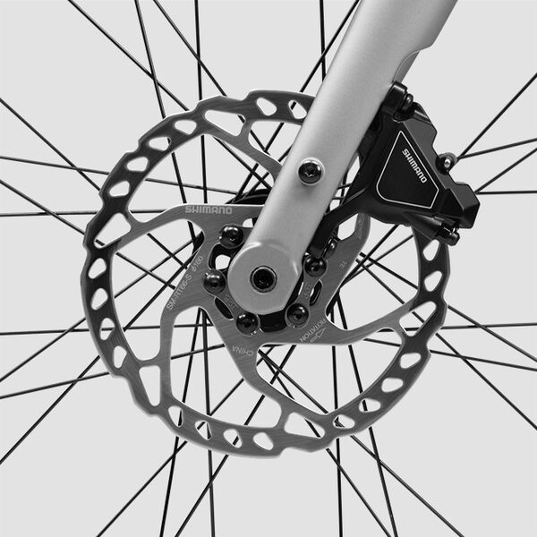 URWAHN | Platzhirsch Urban E-Bike Scheibenbremse