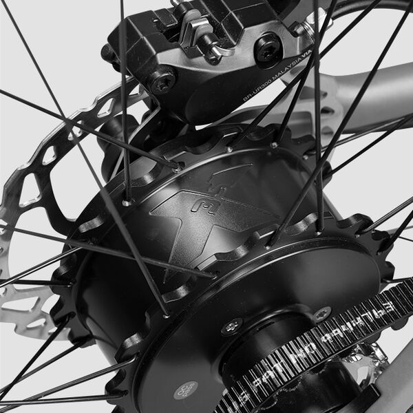 URWAHN | Platzhirsch Urban E-Bike Motor